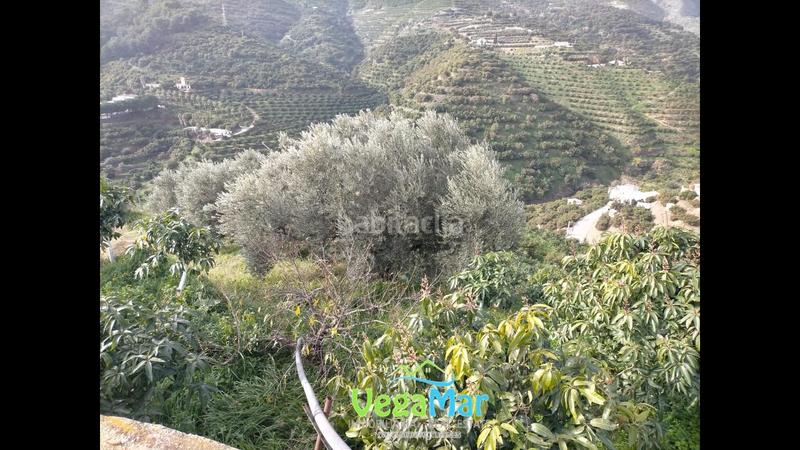 Foto 1749686e-ca0a-4af3-965d-7aeaafaed54b. Propriété dans El Rescate - Río Seco Almuñécar