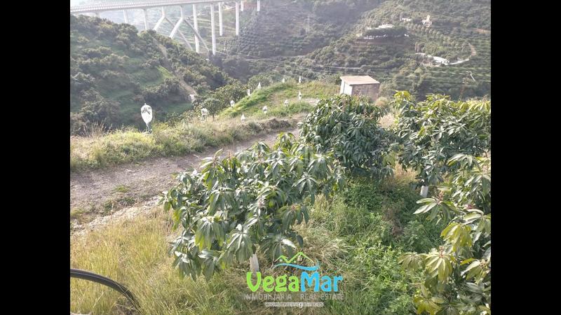 Foto 3fb74310-5ed8-4dbc-ba3f-7db8c137df21. Propriété dans El Rescate - Río Seco Almuñécar