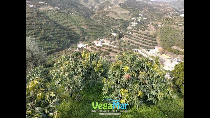Foto 5b61767a-e244-4fa5-8acd-c2ee9097ec0a. Propriété dans El Rescate - Río Seco Almuñécar