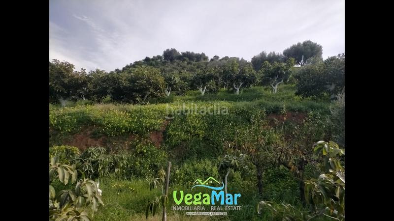 Foto 64688355-cc6d-4f1d-867d-4d65c787ed0e. Propriété dans El Rescate - Río Seco Almuñécar