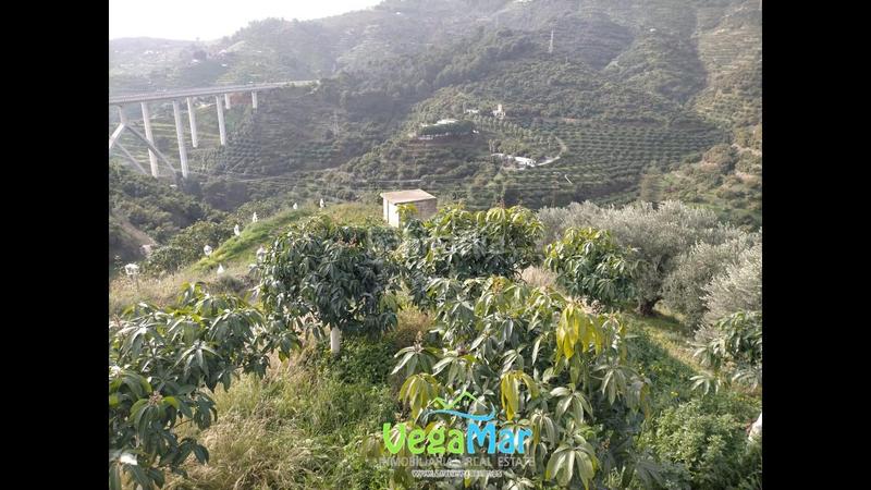 Foto 75613135-4903-4c14-bac2-1459bdc5f664. Propriété dans El Rescate - Río Seco Almuñécar