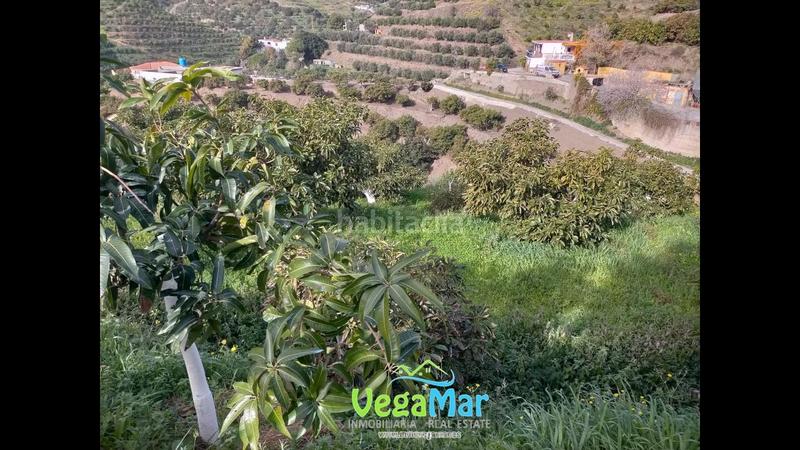 Foto e73c5410-5d30-4b4d-8442-79a46cf4b586. Propriété dans El Rescate - Río Seco Almuñécar