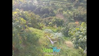 Finca rústica  De río seco
