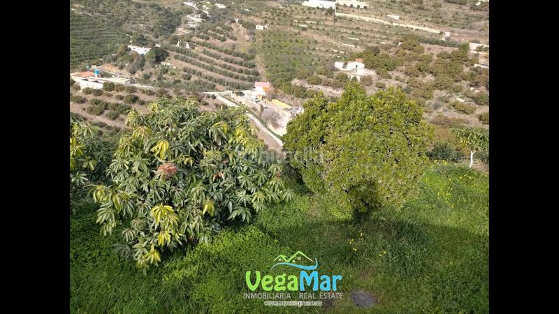Foto 45859292-6f07-4b37-8714-2261c78335c3. Finca rústica a El Rescate - Río Seco Almuñécar