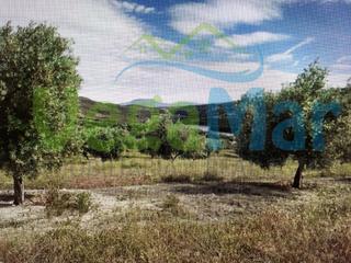 Terreno residenziale  Alhamar