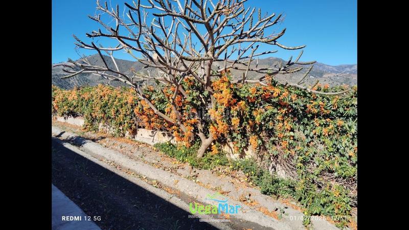 Foto 087b2a7e-aabe-499a-8f38-56feb32c91ad. Masia amb piscina a La Herradura Almuñécar