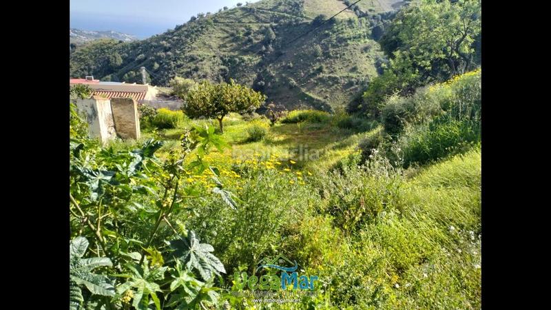 Foto 4921e236-ed0f-4bef-bfff-ff8b90b9e4e0. Finca rústica a El Rescate - Río Seco Almuñécar