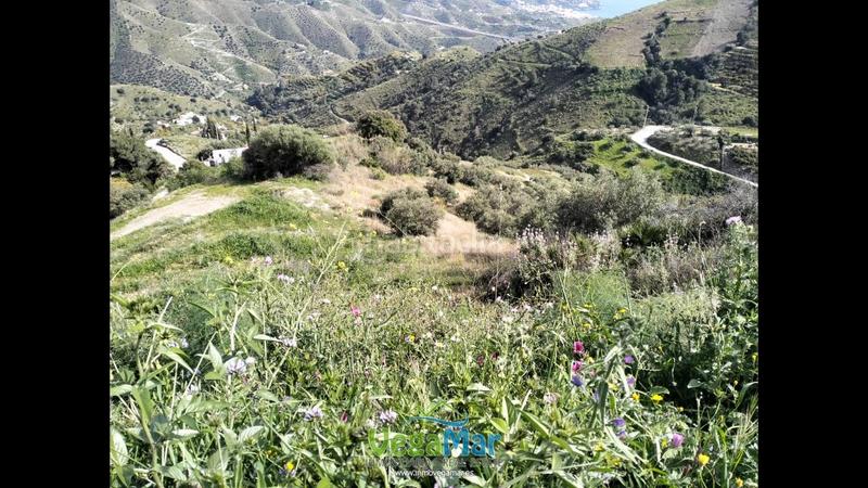 Foto 3ded8070-235f-4e76-be39-eaea80d538eb. Terreno residenziale in El Rescate - Río Seco Almuñécar