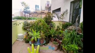 Planta baixa  Principal