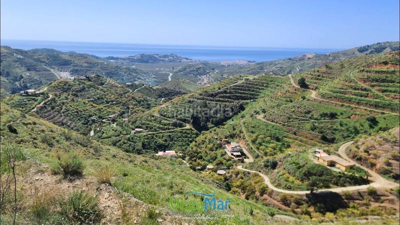 Foto 42249549-635b-46fb-9372-20331ccf4ab1. Finca rústica a Torrecuevas - Lomas del Gato Almuñécar