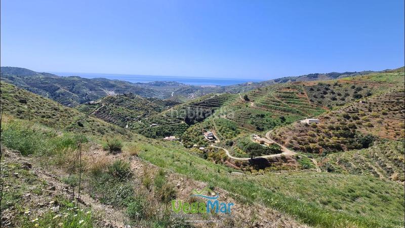 Foto 86209dd7-3408-4acd-93c9-e91b0cd81cc2. Finca rústica a Torrecuevas - Lomas del Gato Almuñécar