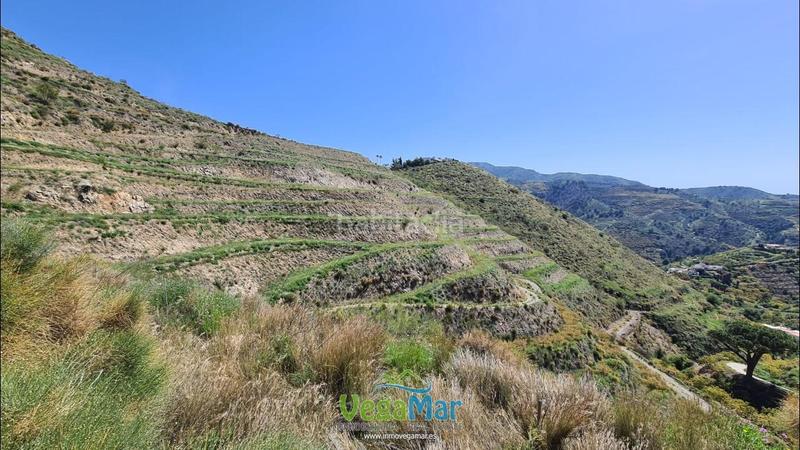 Foto 8c3638f6-76b9-4e32-90b3-d3e25cc13ca7. Finca rústica a Torrecuevas - Lomas del Gato Almuñécar
