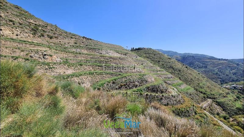 Foto decbb267-e1c0-48ad-83bb-3a465b064c3d. Finca rústica a Torrecuevas - Lomas del Gato Almuñécar