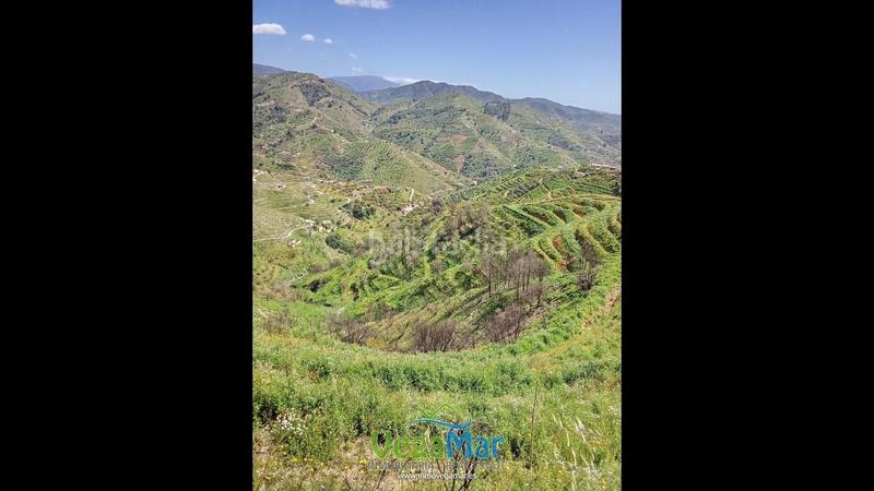 Foto 40c96d14-95e5-4080-be63-f4bb9d7a89fb. Mas dans El Rescate - Río Seco Almuñécar