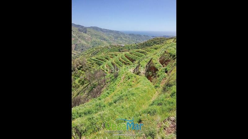 Foto 43e8b354-b5a2-4922-a39e-23a72ac24b98. Mas dans El Rescate - Río Seco Almuñécar