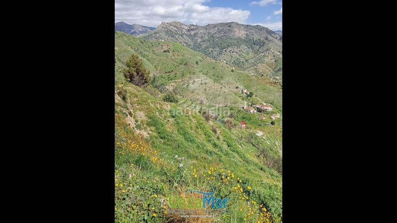 Foto 28f77d9d-5d64-4782-83da-48226ecc9e29. Masia a El Rescate - Río Seco Almuñécar