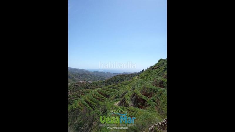 Foto f410621c-7259-4ac3-a8ac-f879a913efc0. Masia a El Rescate - Río Seco Almuñécar