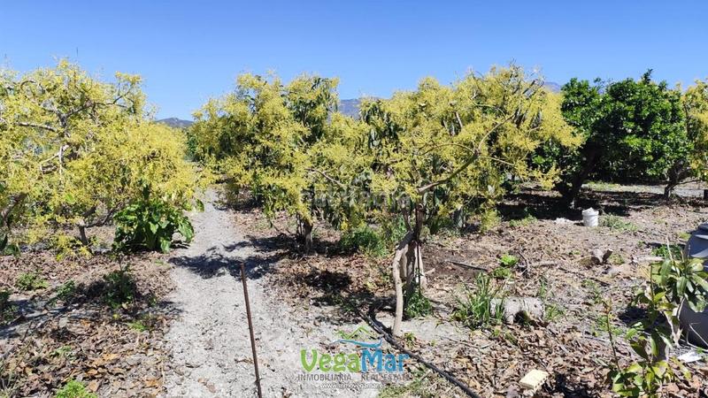 Foto 5f0fa5de-5371-4d5e-9a5c-67c9b2a71843. Casa en Motril ciudad Motril