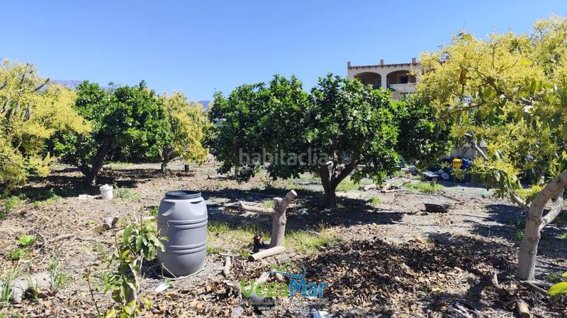 Foto 909e025f-9577-496f-a554-742e3131d13b. Casa en Motril ciudad Motril