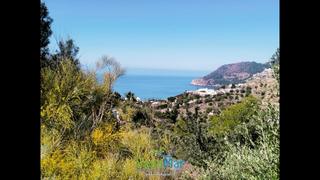 Wohngrundstück  La tartana