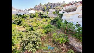 House  Travesia alcalde caridad