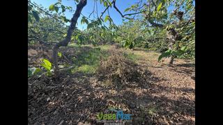 Residential Plot  Itrabo