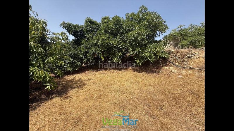 Foto d1710a5c-b10c-414b-bf3a-7d931691ed54. Terreno residencial en El Rescate - Río Seco Almuñécar
