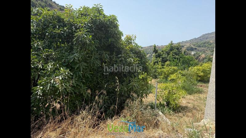 Foto d7d27201-d08b-43ea-ac26-9e36252289c7. Terreno residencial en El Rescate - Río Seco Almuñécar