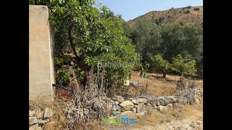 Foto d7dfa46d-7c79-492c-9933-cc5a66abd22f. Terreno residencial en El Rescate - Río Seco Almuñécar