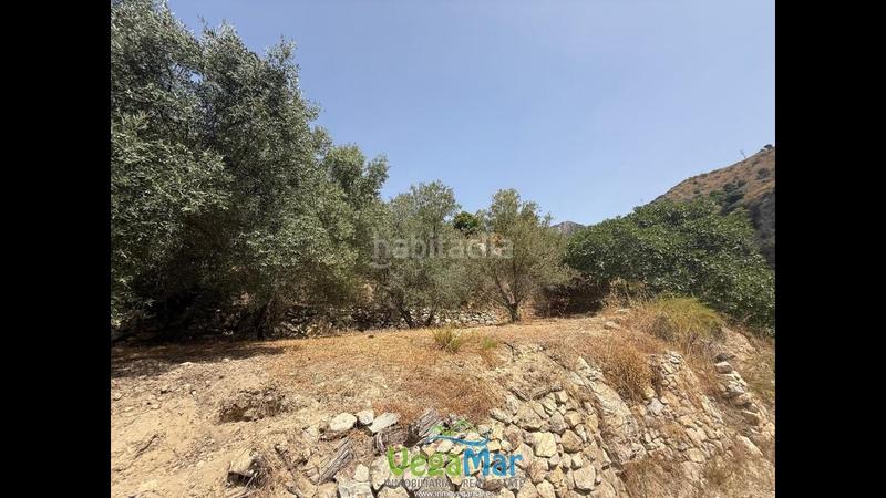 Foto e44ba360-c0f0-4696-b25a-0913dcd8a8e5. Terreno residencial en El Rescate - Río Seco Almuñécar