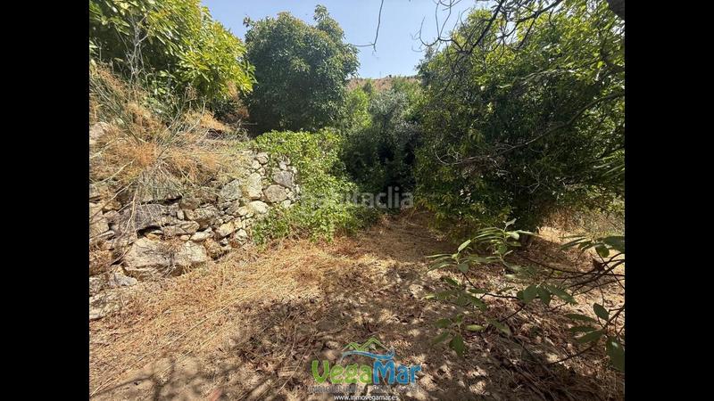 Foto e464aedb-4438-4b9f-9ae9-86d5e7ff3b7d. Terreno residencial en El Rescate - Río Seco Almuñécar