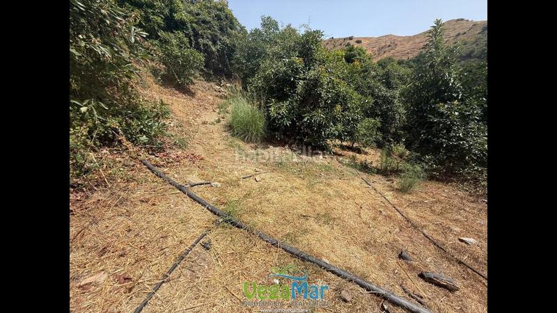 Foto ec6b7231-ee97-4847-9902-c15f586a7ea4. Terreno residencial en El Rescate - Río Seco Almuñécar