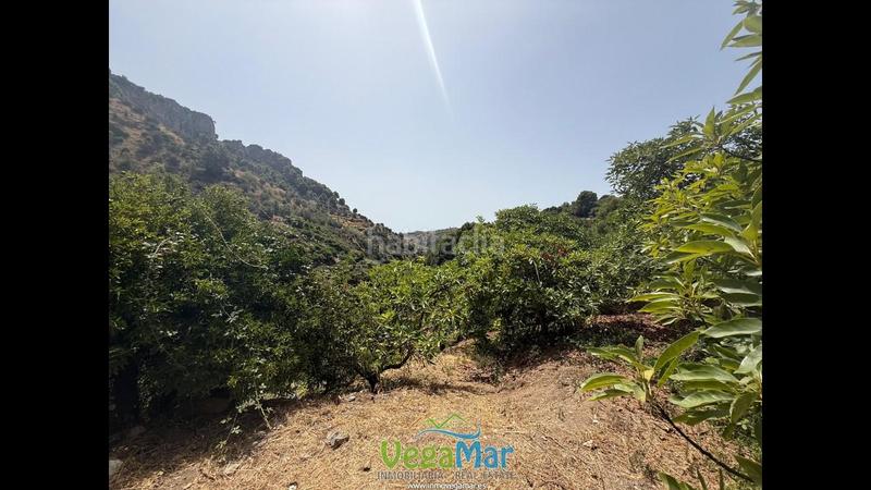 Foto ed6f49dc-e0a3-49a6-a9cc-7ae2a75419b6. Terreno residencial en El Rescate - Río Seco Almuñécar