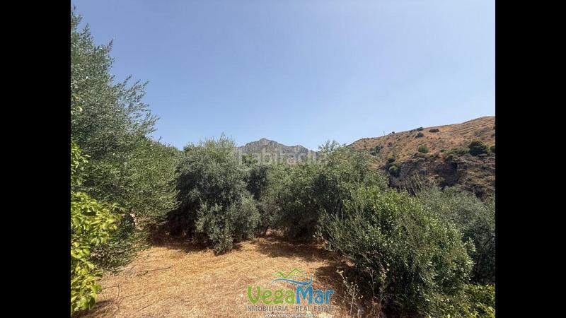 Foto 30e60f59-f5dc-4c94-b1af-c1e3928330c0. Residential plot in El Rescate - Río Seco Almuñécar