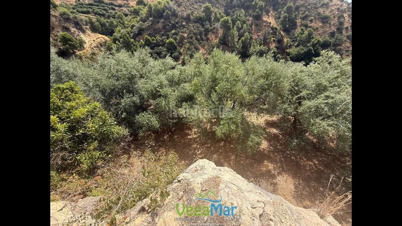 Foto 56c88094-200c-4000-8e19-9d41a456b505. Residential plot in El Rescate - Río Seco Almuñécar