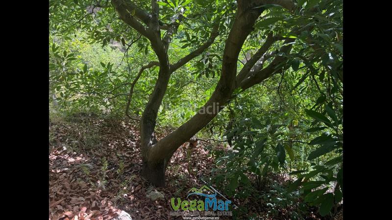 Foto 5d31112f-e739-48fc-926c-d7ce686bd775. Residential plot in El Rescate - Río Seco Almuñécar