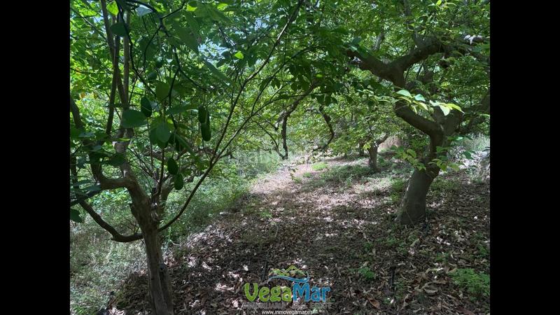 Foto db189a6c-49bd-4ee4-902d-b372a72ae969. Residential plot in El Rescate - Río Seco Almuñécar