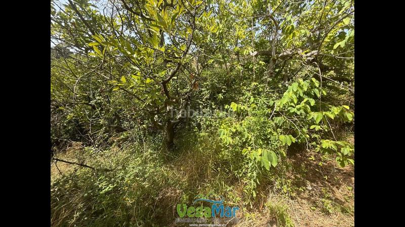 Foto e597e5c3-bd90-40f3-b213-73f252c18bcd. Residential plot in El Rescate - Río Seco Almuñécar