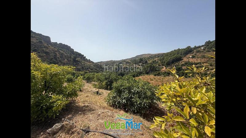 Foto dc8140e5-cbb9-4c0d-8c3f-d0c6c1fd726d. Terrain résidentiel dans El Rescate - Río Seco Almuñécar