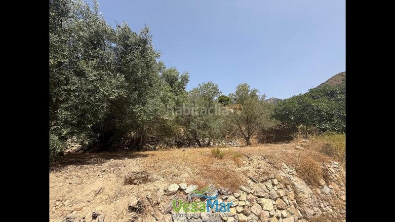 Foto 526c3e1d-4631-4527-9ee4-1e73e4149779. Terreno residenziale in El Rescate - Río Seco Almuñécar