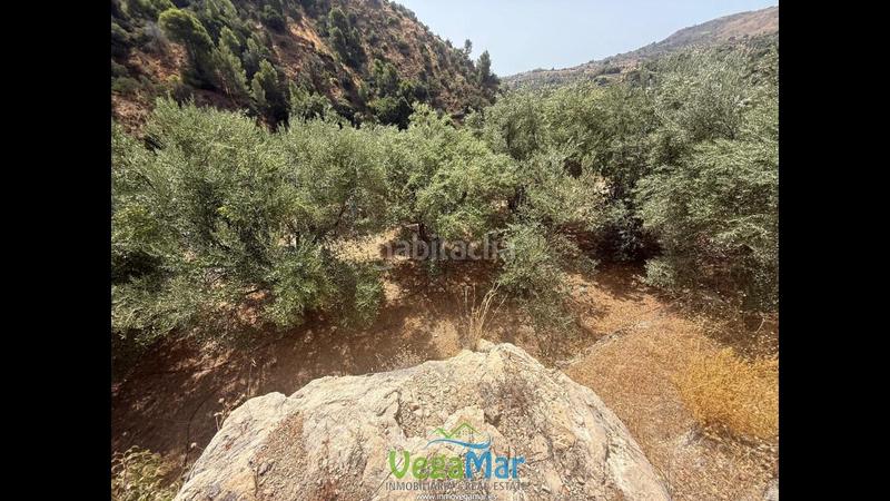 Foto c1421f58-3ca0-47c9-8c0b-a2472c7eb7b2. Wohngrundstück in El Rescate - Río Seco Almuñécar