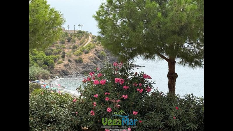 Foto 2499ec19-0d5f-4dc6-a6a5-187ee7d632a0. Lloguer pis amb aparcament a Velilla - Velilla Taramay Almuñécar