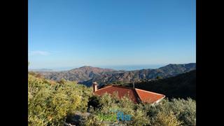 Mas  Lugar cazulas