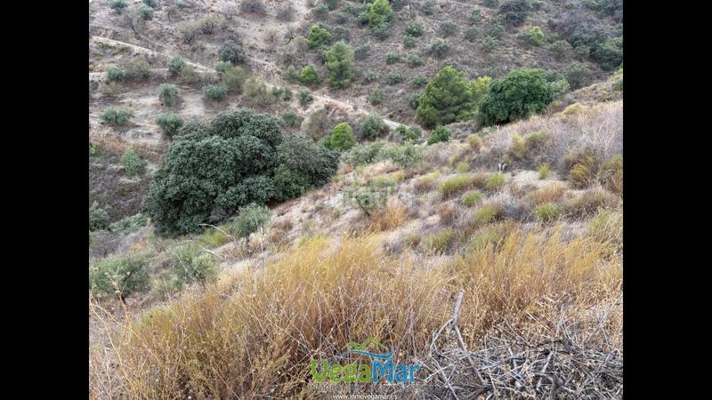 Foto 2990e554-ee1c-4c0c-9550-29cce4924e70. Rural plot in Jete