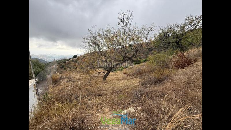 Foto 5de99ab4-e441-48cd-8143-dbde8f60a0a3. Rural plot in Jete