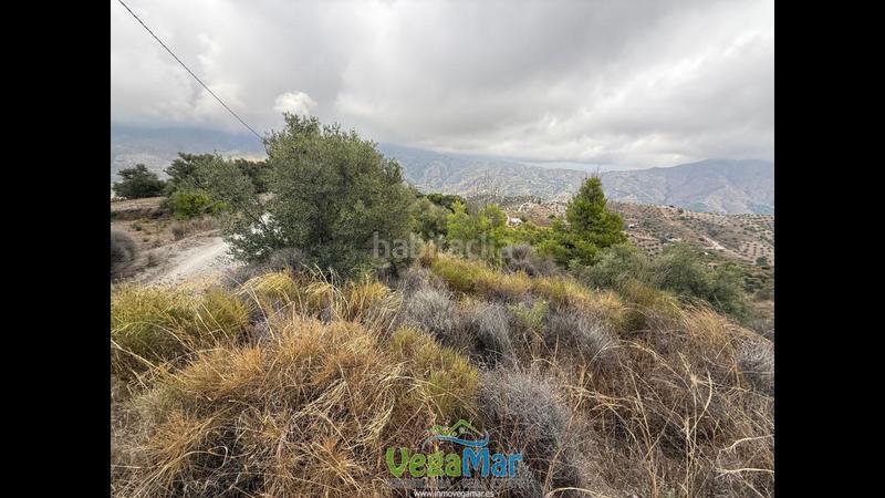 Foto 5f179e76-f463-4dee-9152-d5d89da9c301. Rural plot in Jete