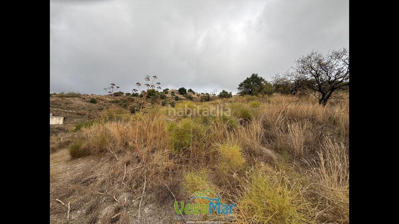 Foto 691cee00-319d-4035-bd9f-615279ce252b. Rural plot in Jete
