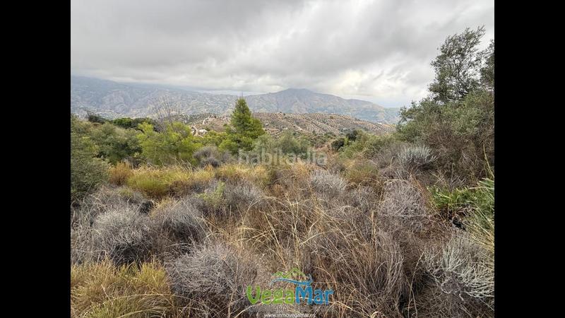 Foto 740997be-ba7b-41d9-ba3b-768de8b2b941. Rural plot in Jete