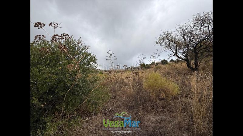 Foto 812f3e29-9cae-414c-b2e2-35cce2b874a3. Rural plot in Jete