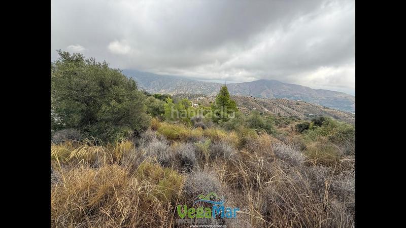 Foto 830da727-6bfc-4533-80a7-e9d1308964c4. Rural plot in Jete